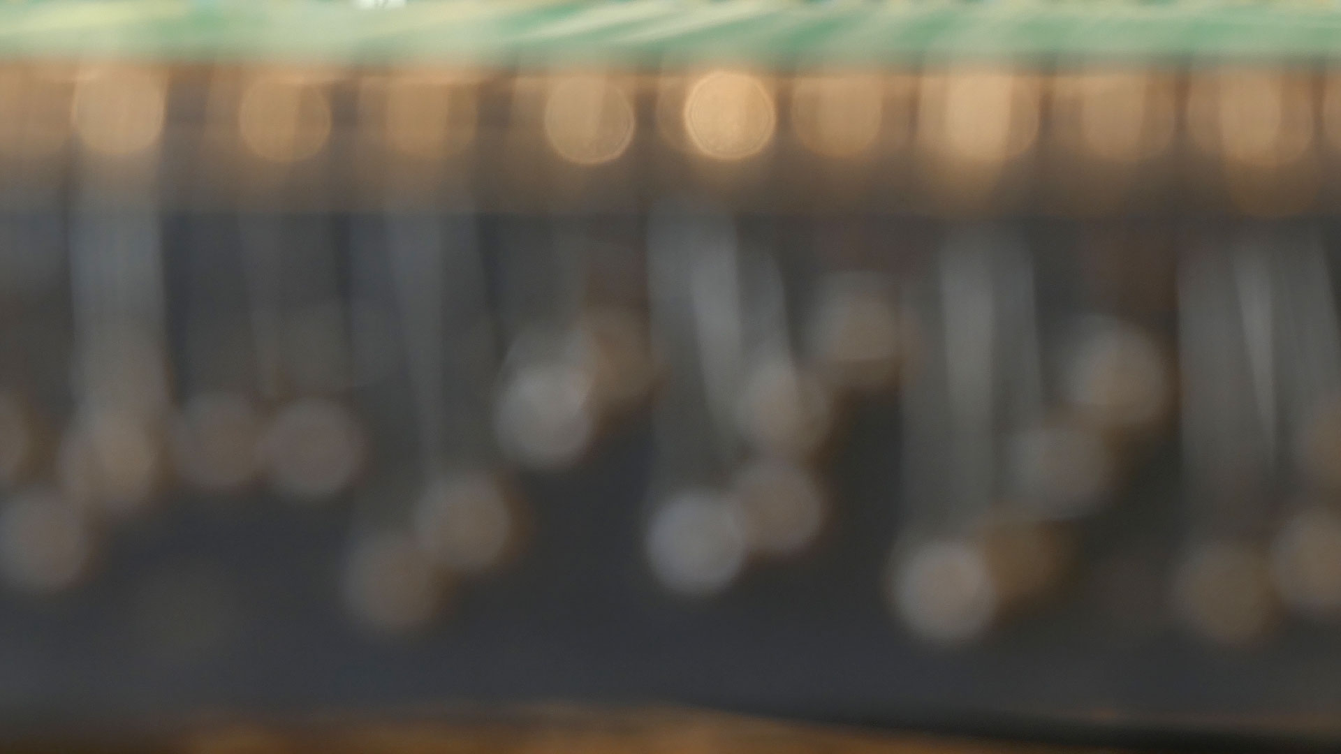 2023-10-01 Zither (Stimmen und Soundcheck)